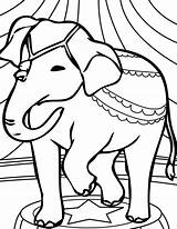 Circo Elefante Imprimir Elephant sketch template