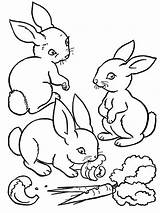 Coloring Pages Farm Animals Baby Kids sketch template