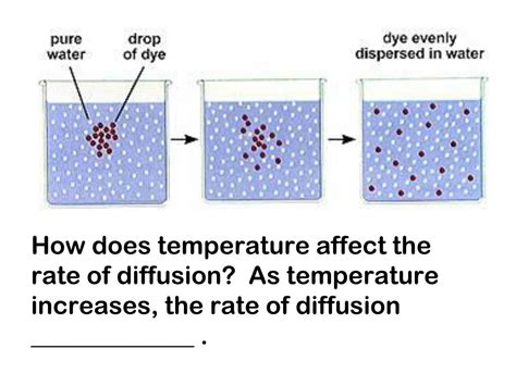 rate  diffusion