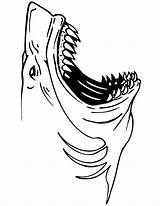 Jaws Mouth Getdrawings Drawings sketch template
