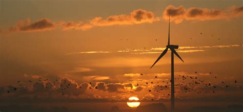windenergie natuurmonumenten