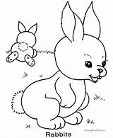 Rabbit Tranh Cho Activities Kaninchen Playgroup Rabbits Coloringhome Fluffy Curious sketch template
