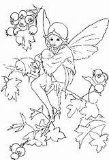 Fairies sketch template