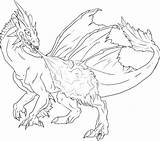 Dragon Bearded Coloring Pages Getdrawings Color sketch template