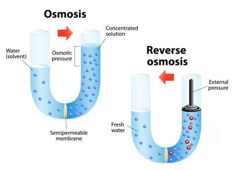 How Do Reverse Osmosis Systems Work Water Right