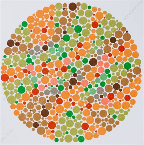 test color palette  color blindness color blindness chart