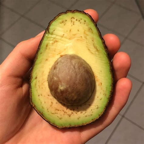 braune flecken  der avocado wie lange essbar ernaehrung essen vegan