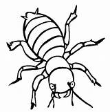 Insects Stink Beetle sketch template