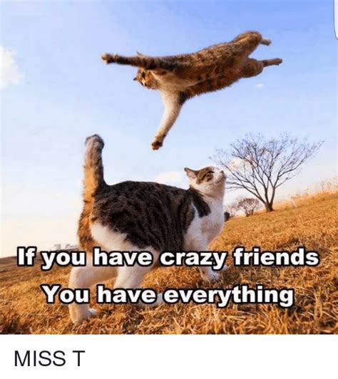 if you have crazy friends you have everything miss t