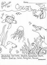 Coloring Pages Ecosystem Interactive Created sketch template