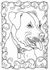 Terrier Staffordshire Colorear Bullterrier Malvorlage Colouring Ausmalen Schulbilder Malvorlagen Zum Besuchen sketch template
