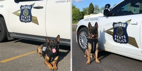 Two Isp K9 Officers Receive Body Armor Donation