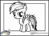 Pony Coloring Little Rainbow Dash Pages Baby Equestria Mlp Girls Colouring Printable Girl Colors Team Miracle Timeless Minister Comments Popular sketch template
