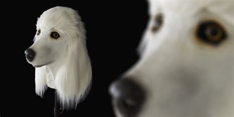 unsettlingly realistic dog head masks boing boing