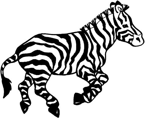 printable zebra coloring pages   comprehensive collection  zebra