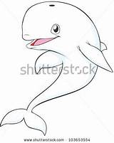 Beluga Whale Baby Cartoon Shutterstock Coloring Vector Happy Getcolorings Drawing Search Stock sketch template