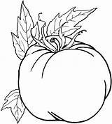 Vegetables Coloring Pages Vegetable Drawing Line Unhealthy Clipart Food Printable Healthy Fruit Preschool Clip Foods Find Clipartmag Cool sketch template