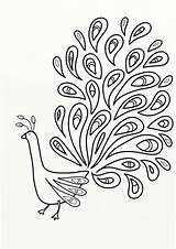 Peacock Outline Coloring Feather Drawing Pages Kids Printable Bird Colouring Template Print Patterns Birds Embroidery Adult Easy Painting Clipart Color sketch template