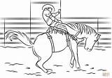 Rodeo Bronc Saddle Cow Pbr Template Drukuj sketch template