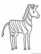 Zebra Coloring Drawing Pages Sketch Easy Outline Line Animal Animals Simple Kids Printable Gambar Mewarnai Stripes Draw Color Print Without sketch template