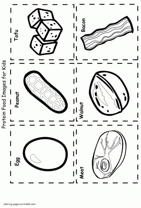 protein food group coloring pages