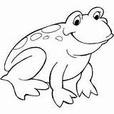 Frog Outline Coloring Pages Clipart Library sketch template