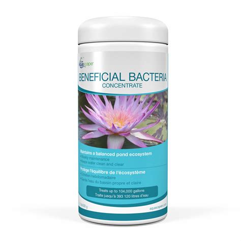 beneficial bacteria concentrate  lb pet pond warehouse