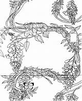 Wisteria Coloring Pages Vine Drawing Template Card Front Getdrawings sketch template