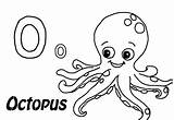 Octopus Coloring Animals Pages Kb sketch template