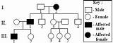 Pedigree Inheritance Generations Lobe Fused Trait Refer Genotypes Correctly Depicts Iii sketch template