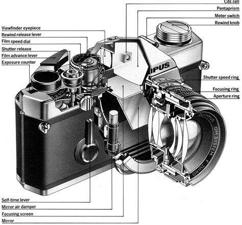 anatomy   camera slr camera diagram ideas pinterest slr camera camera slr  cameras