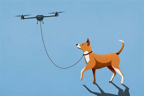 drone  reunited   dogs   owners