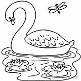 Coloring Swan Lake Pages Printable Popular sketch template