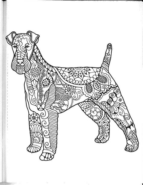 airedale terrier coloring page pets lovers