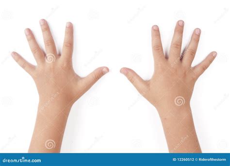 child hands stock photo image  white hand child