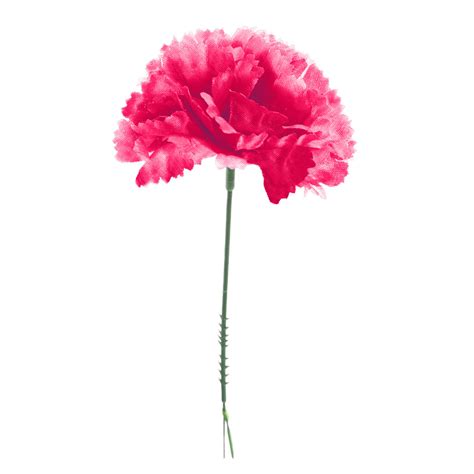 hot pink carnation heads with picks 100 per box royal