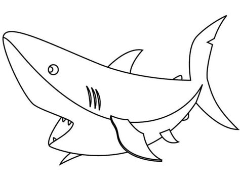 printable great white shark coloring pages shark coloring pages