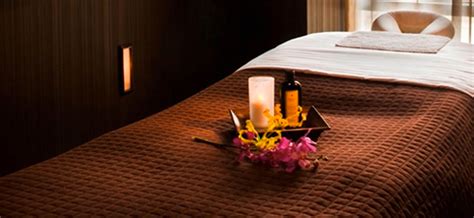schedule   time  spa  thewit chicago factio
