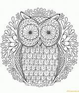 Owl Flower Online Pattern Pages Coloring Color Printable sketch template