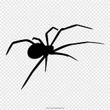 Aranha Spiders Widow Pngegg Desenhar Pngwing Insects W7 Vectorified sketch template