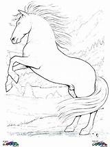 Headless Coloring Horseman Getcolorings Print sketch template