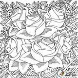 Rose Omeletozeu Grown sketch template