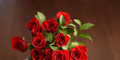6 ways to make your valentine s day roses last longer