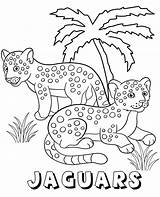 Coloring Jaguars Pages Color Two Kids Print Children sketch template