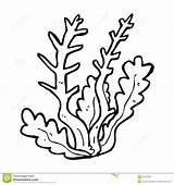 Coloring Seaweed Sea Plants Pages Ocean Cartoon Algae Clip Coral Clipart Drawing Grass Outline Print Printable Kids Color Drawings Vector sketch template