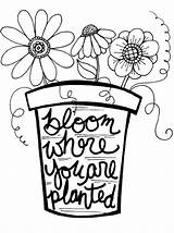 Where Bloom Planted Coloring sketch template