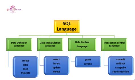 data definition language  data manipulation language  dbms