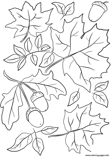 autumn leaves  acorns fall coloring page printable