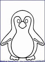 Pingouin Banquise Maternelle Coloriages Col Danieguto sketch template