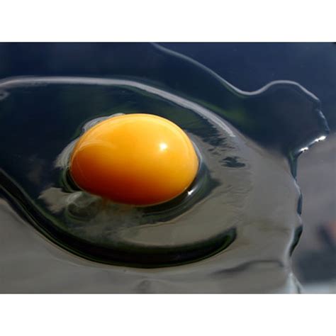 egg yolk nutrition healthfully